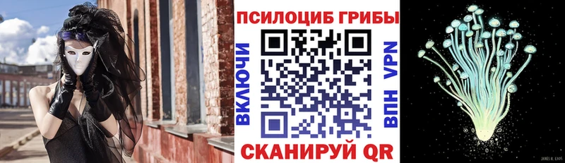 Галлюциногенные грибы Magic Shrooms  Мамадыш 
